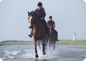 horse riding