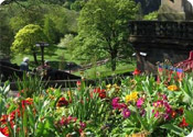 Princes Gardens