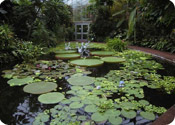 botanical gardens